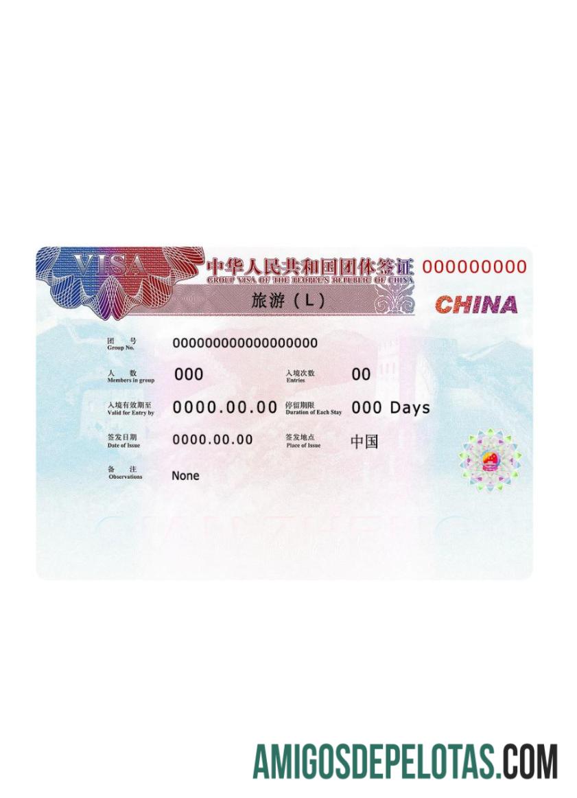 Presente do Visto China 2019 baixar para verificação